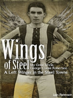 cover image of Wings of Steel